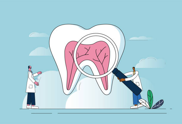 Two doctors examine teeth with magnifying glasses.